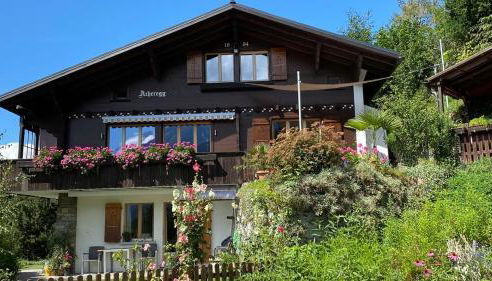 Foto 1 - Chalet Acheregg