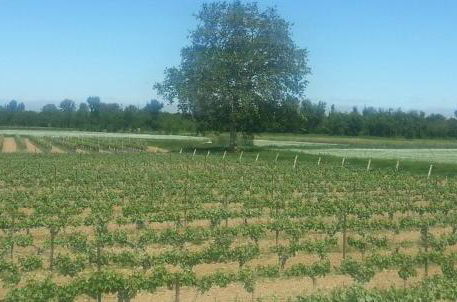 Foto 13 - Gîte le Pressoir