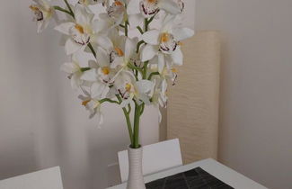 Photo 1 - Apartment in Florence with terrace and sea view