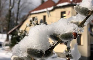 Photo 1 - Apartamenty Wie?yczki