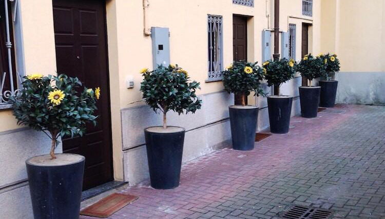 Photo 1 - City Residence Milano