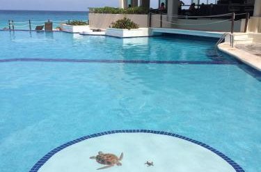 Photo 10 - Cancun Beach Aparthotel Brisas