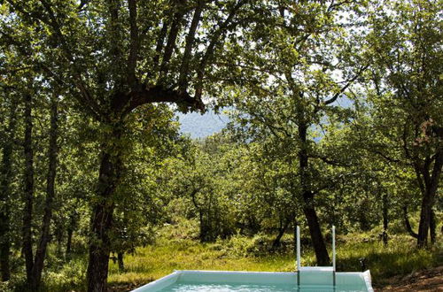 Foto 49 - Villa a La Celle con piscina privata e vista piscina