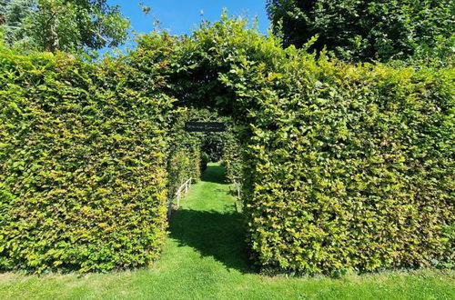 Foto 68 - Apartamento en Le Manoir con piscina privada y vistas al jardín