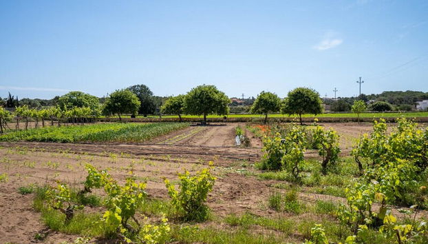 Apartamentos Marcelino - Formentera Break - Foto 4