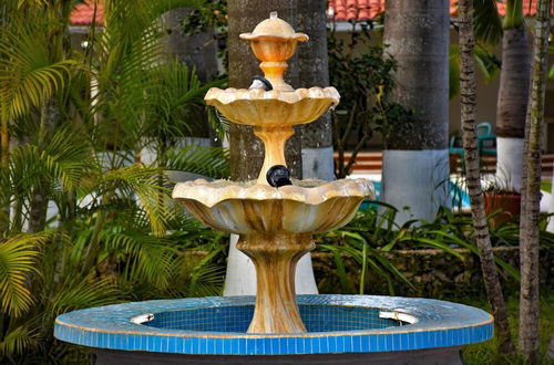 Photo 24 - Tulipanes Cancun