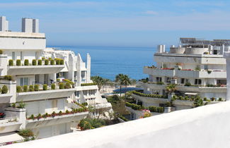 Photo 3 - Monarque Sultan