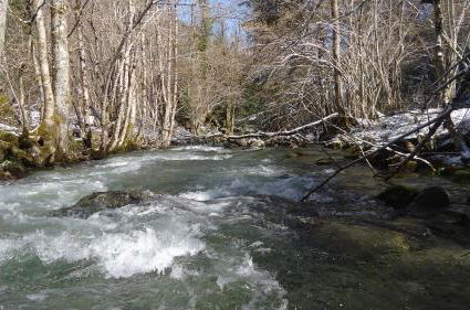 Photo 29 - Gîtes Le Paradoxe des Pyrénées