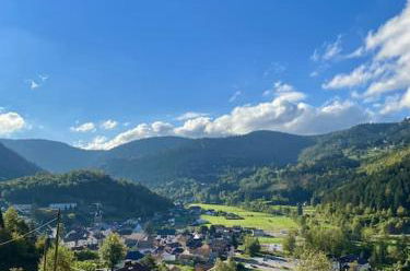 Photo 7 - Chalet in Ventron with garden and garden view