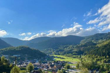 Photo 33 - Chalet in Ventron with garden and garden view