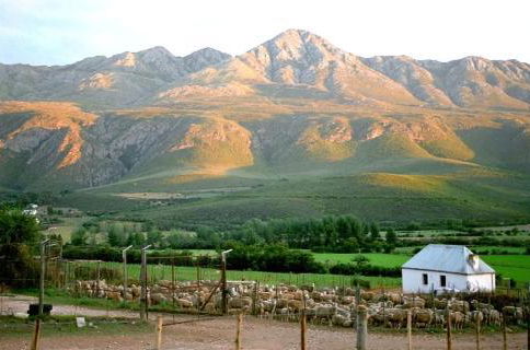 Foto 29 - Swartberg Country Manor