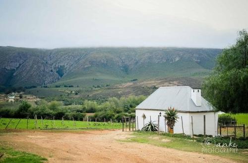 Foto 7 - Swartberg Country Manor