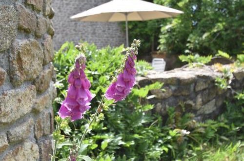 Photo 17 - Beautiful Property near in Bretagne with fenced garden