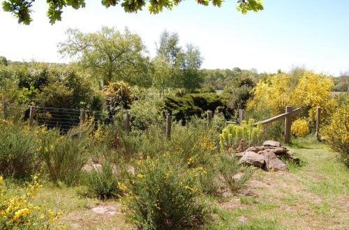 Photo 11 - Beautiful Property near in Bretagne with fenced garden
