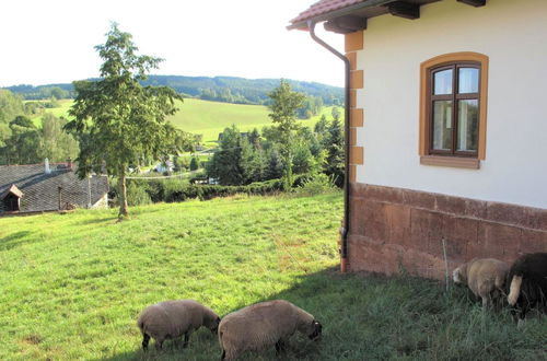 Photo 4 - Holiday Home Dolní Olenice