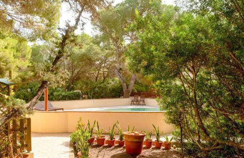 Apartamentos El Pino - Formentera Break - Foto 7