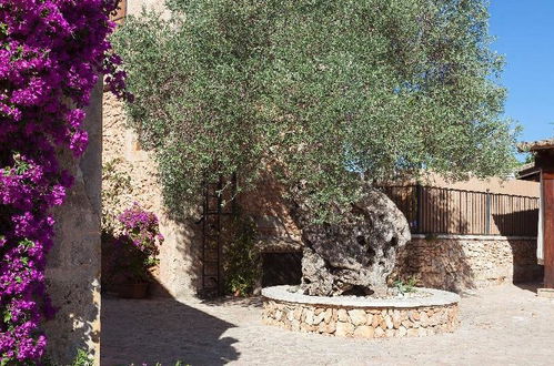 Foto 30 - Es Revellar Art Resort - Adults Only