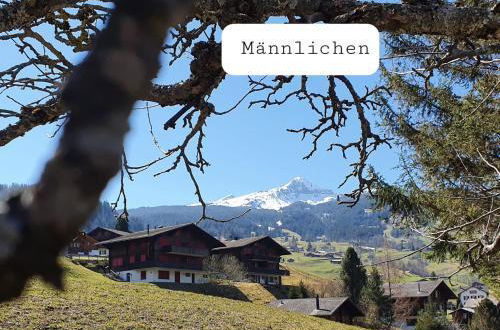Photo 23 - Chalet Wärgistal