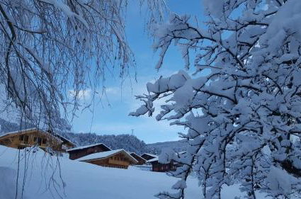 Photo 31 - Chalet Wärgistal