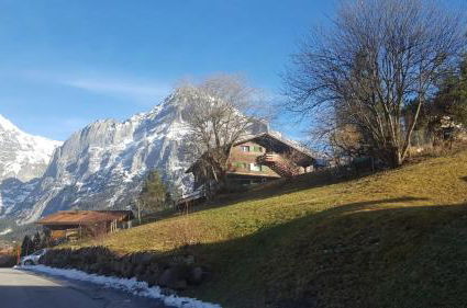 Photo 37 - Chalet Wärgistal