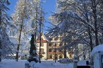 Photo 9 - Villa Silvana
