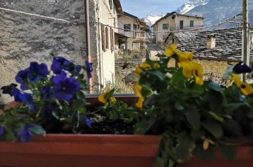 Photo 18 - Apartment in Chiavenna with garden and mountain view