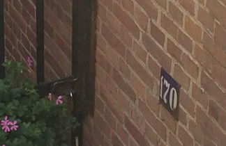 Photo 2 - Rose 170