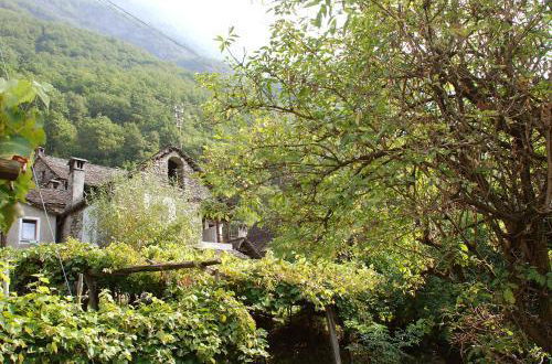 Photo 19 - Holiday Home Rustico Pult