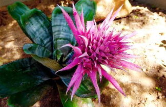 Photo 1 - Hoedspruit Raptors Lodge N16