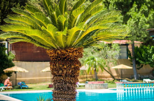 Photo 11 - Achousa Hotel