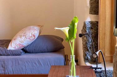 Photo 13 - House in Santa Cruz da Graciosa (R.A.A.) with garden and terrace