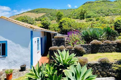 Photo 7 - House in Santa Cruz da Graciosa (R.A.A.) with garden and garden view
