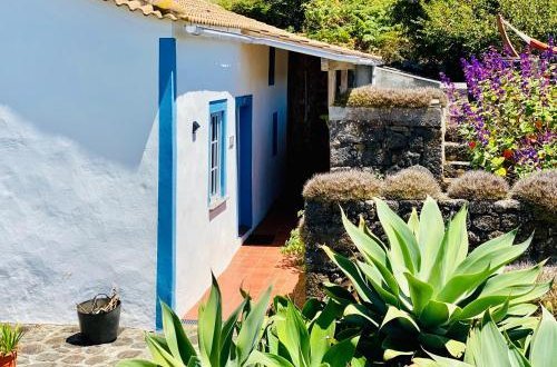 Photo 21 - House in Santa Cruz da Graciosa (R.A.A.) with garden and garden view