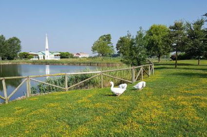 Foto 28 - Olmi Lido Altanea