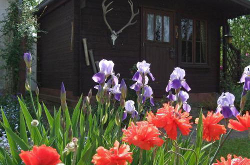 Photo 18 - Holiday Home Jahreszeiten