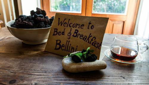 Photo 1 - Bellini Apartment