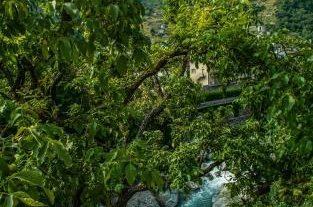 Photo 29 - Apartment in Chiavenna with garden and river view