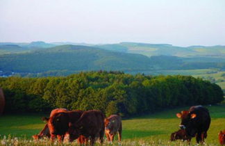 Foto 3 - Panorama Gasthof Stemler