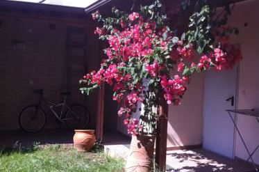 Foto 7 - Villa Niovi