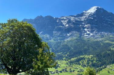 Photo 22 - Chalet Herrschaft