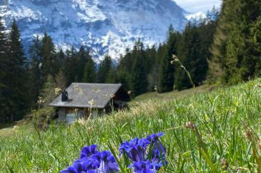 Photo 16 - Chalet Herrschaft