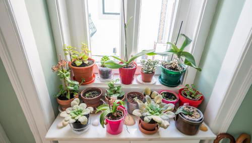 Madragoa Studio zero - Foto 5