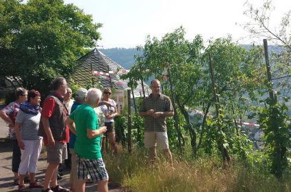 Photo 33 - Ferienweingut Rainer Hirschen