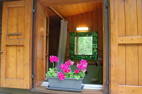Photo 9 - Chalet Baita Piancabella