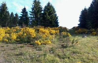 Photo 2 - Ferienhaus Wildblick