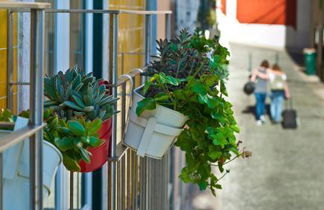 Photo 1 - Duque´s Apartments