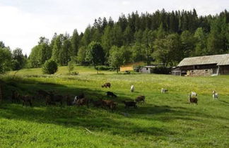 Photo 1 - Landhof Steinhütte