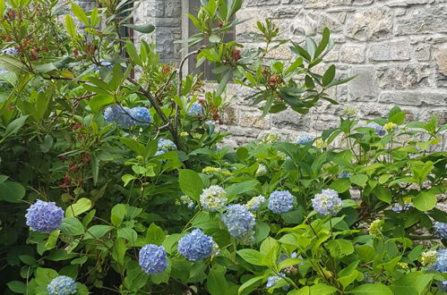 Photo 39 - Maison de 3 chambres à Corniglio avec jardin