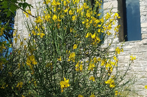 Photo 35 - Maison de 3 chambres à Corniglio avec jardin