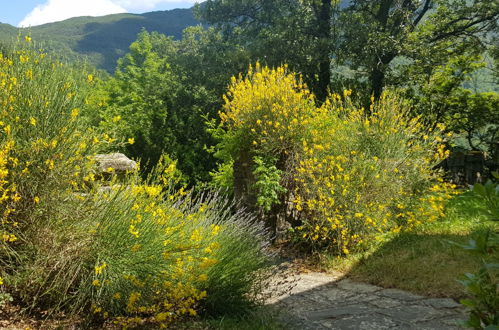 Foto 40 - Haus mit 3 Schlafzimmern in Corniglio mit garten